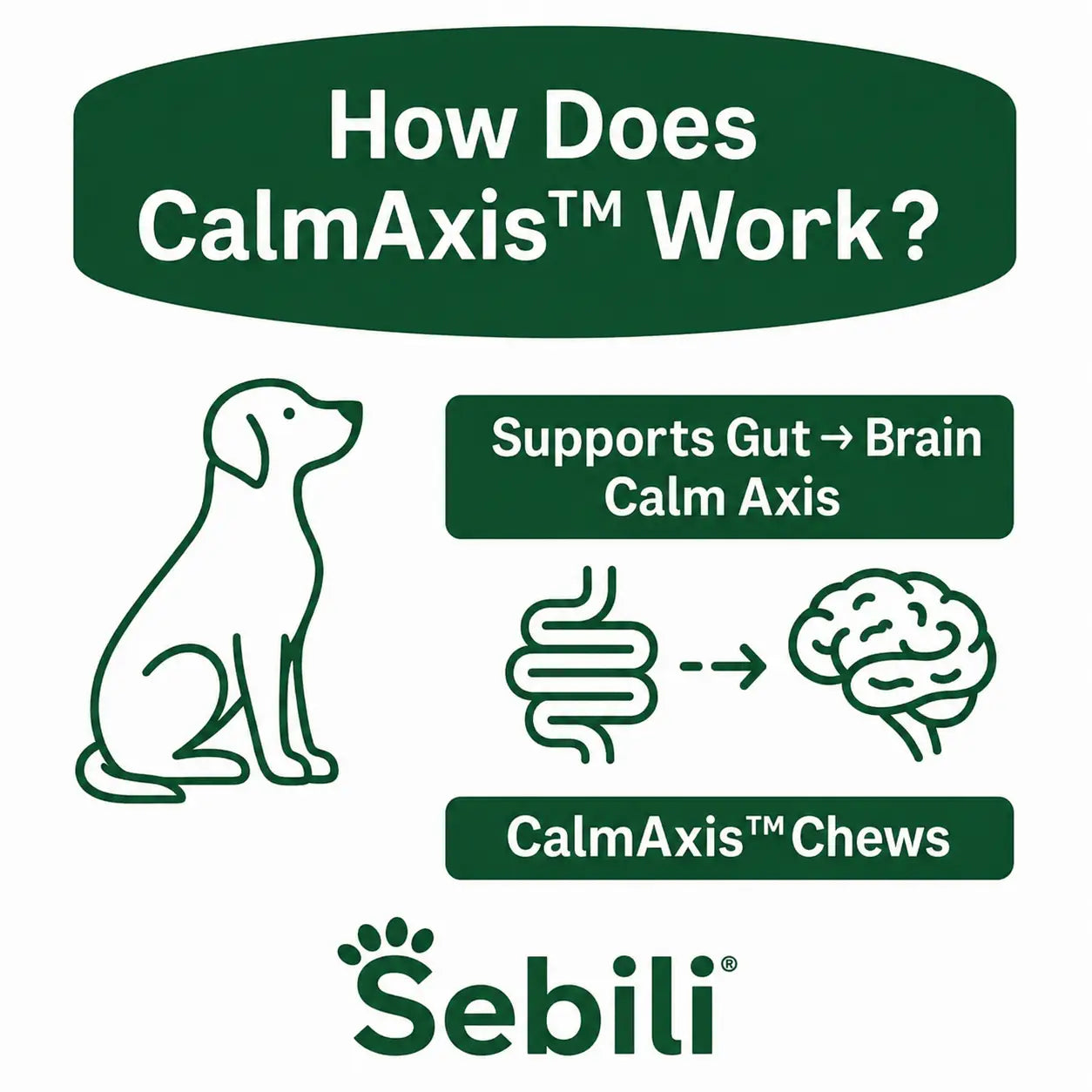 Support Gut Balance For Calmer Behavior with CalmAxis™ Postbiotic Chews