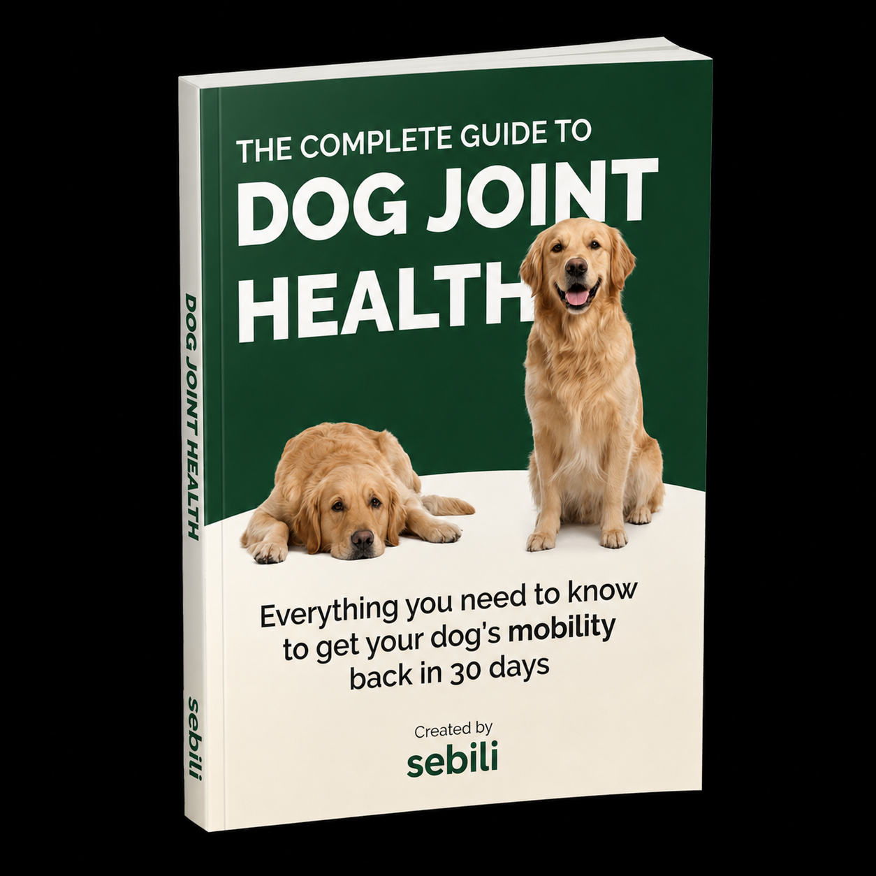 The Guide To Joint Health