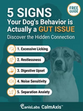 Chews Ebook