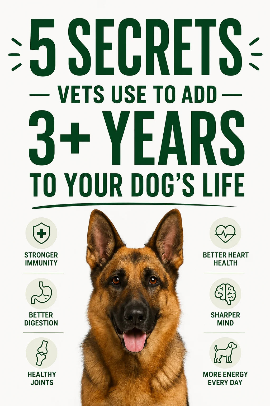 5 Secrets Vets use to add 3+ Years to your Dogs Life eBook