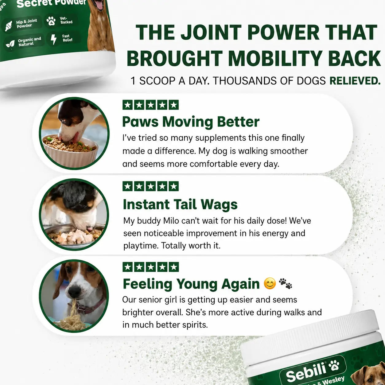 The Sebili - Hip & Joint Powder
